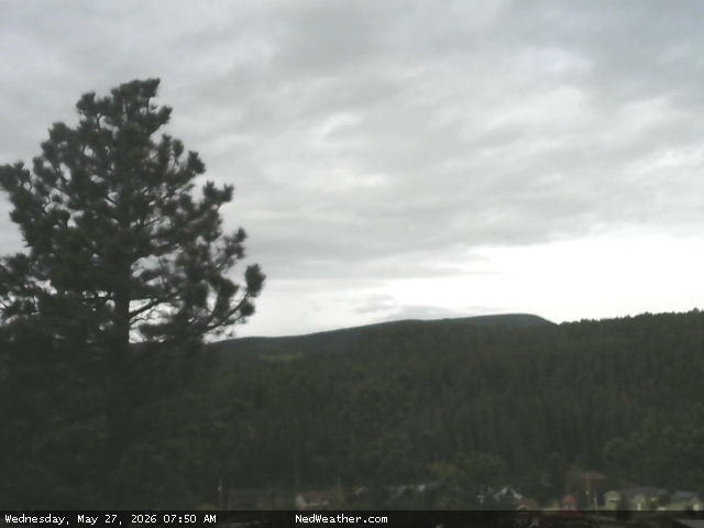 Nederland, Colorado Webcam photo