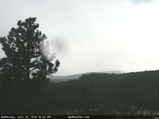 Nederland, Colorado Webcam photo