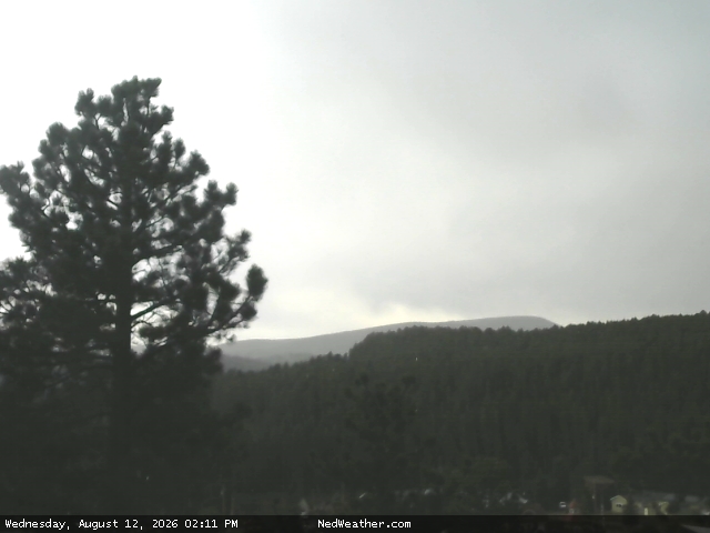 Nederland, Colorado Webcam photo