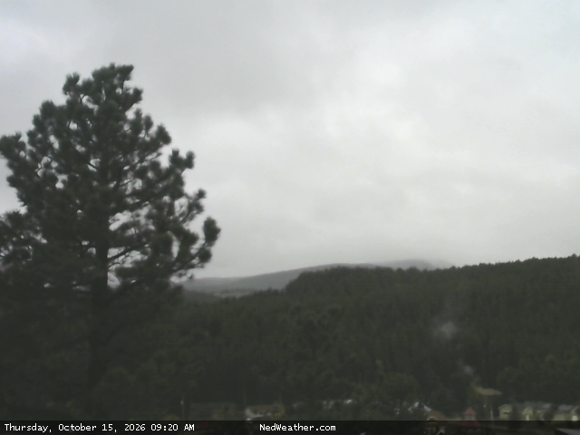Nederland, Colorado Webcam photo