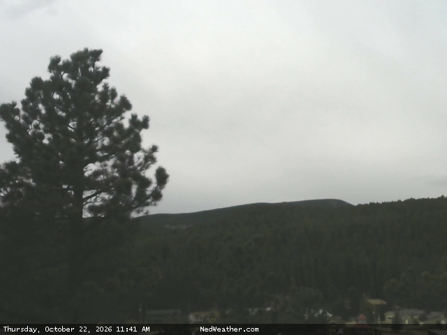 Nederland, Colorado Webcam photo
