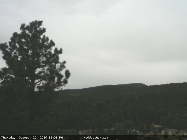 Nederland, Colorado Webcam photo