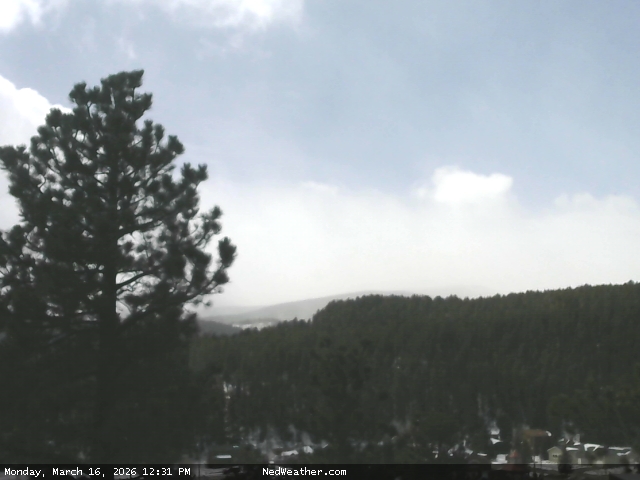 Nederland, Colorado Webcam photo