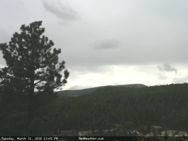 Nederland, Colorado Webcam photo