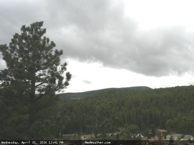 Nederland, Colorado Webcam photo