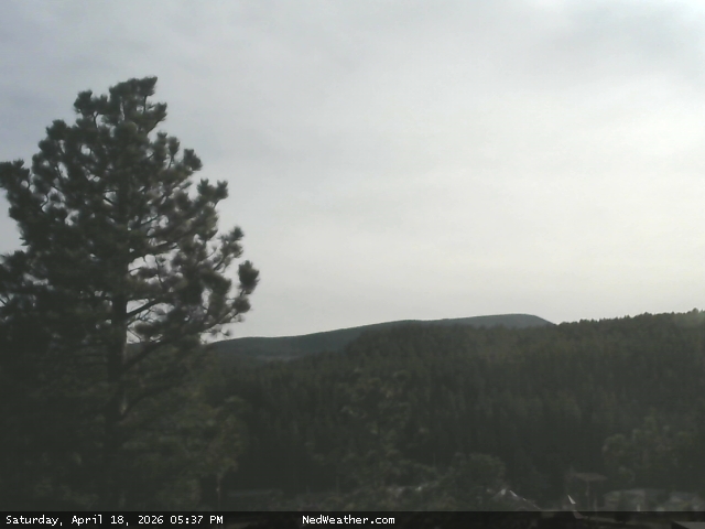 Nederland, Colorado Webcam photo