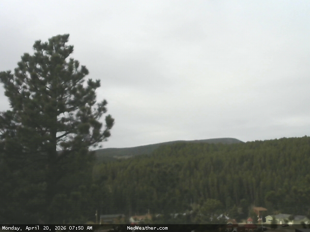 Nederland, Colorado Webcam photo