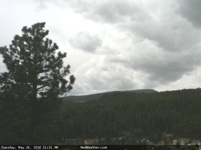 Nederland, Colorado Webcam photo